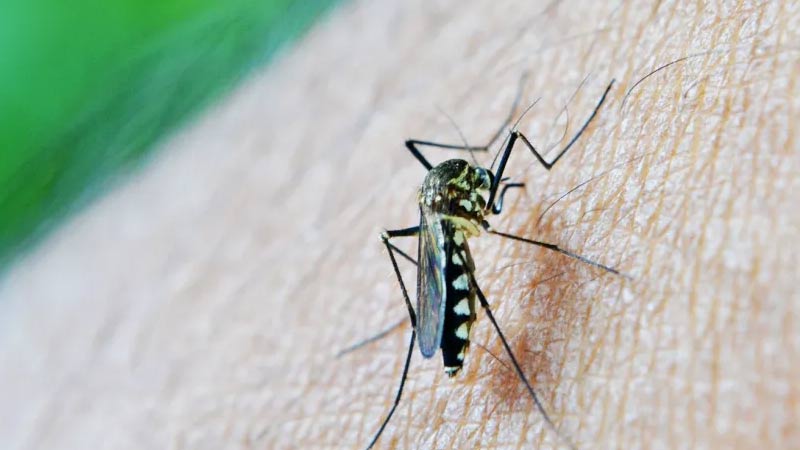 Lazio: Dia ha contratto la malaria
